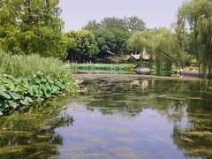 -陶然亭公园