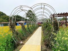 -洪湖家庭农场·团建·露营·会议