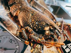 -Oyster Talks 四度蚝法餐厅