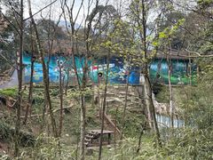-中国大熊猫保护研究中心雅安碧峰峡基地