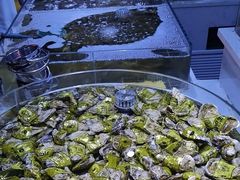 -聚盛源蒸汽海鲜火锅烤肉自助(巨川金海岸购物广场店)