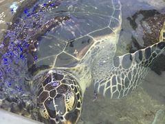 -鸿通城购物中心