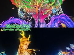 -淄博花灯齐彩城