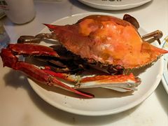 -日丰园海肠水饺·老字号大连海鲜(和平广场店)
