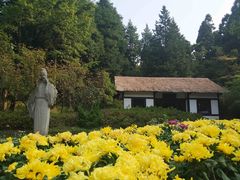 -庐山风景区花径公园