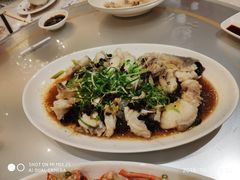 -海港酒家(上水新丰店)