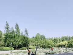 -大望京公园