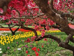 -国家植物园南园