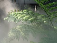 -北京植物园-展览温室