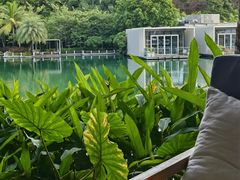 -三亚艾迪逊酒店·海滩烧烤 BARBACOA·现场乐队·浪漫晚餐·烧烤海鲜