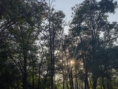 -北京西山国家森林公园