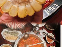玉米-袁老四重庆老火锅(桐梓坡店)