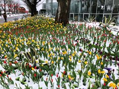 -南通洲际绿博园