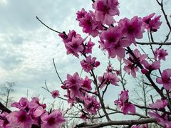 -狼山风景名胜区