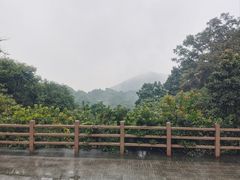 -广州市帽峰山景区