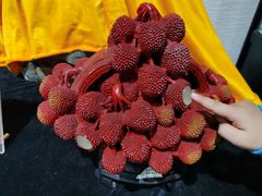 -游龙石文化科普馆