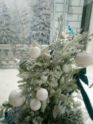 点击看大图 -麦莎MA3A摄影工作室(美兰金邸店)