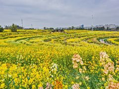 -三圣花乡旅游区