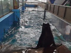 -成都浩海立方海洋公园