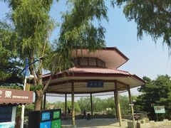 -青龙湖公园