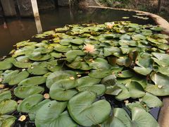-南京市无想山景区