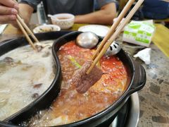 -乳仔牛牦牛汤锅 烤羊排(松潘古城店)