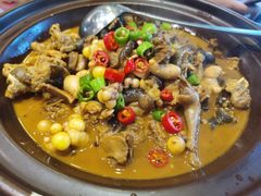 鸽子烧乌龟-茶叁酒肆·楚味江湖(菱角湖店)