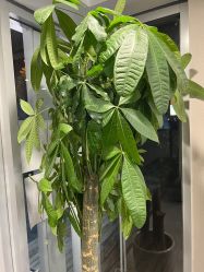 -如一·美甲美睫