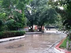 -威远县自强中学校