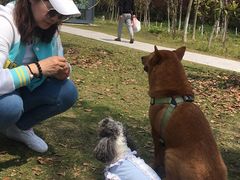 -上海长兴岛郊野公园