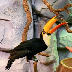 -Zoolung Zoolung动物主题公园(海信广场店)