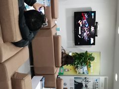 -上汽大众4S店(上海冠松店)