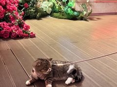 -Tegu泰古莲·泰国餐厅(红山6979店)