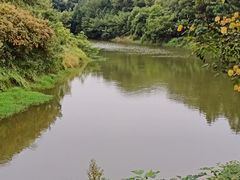 -凤凰沟景区