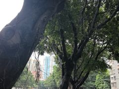 -晓港公园