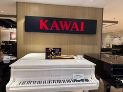 -柏斯音乐艺术中心·钢琴·吉他(上音店)