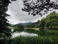 -庐山风景区花径公园