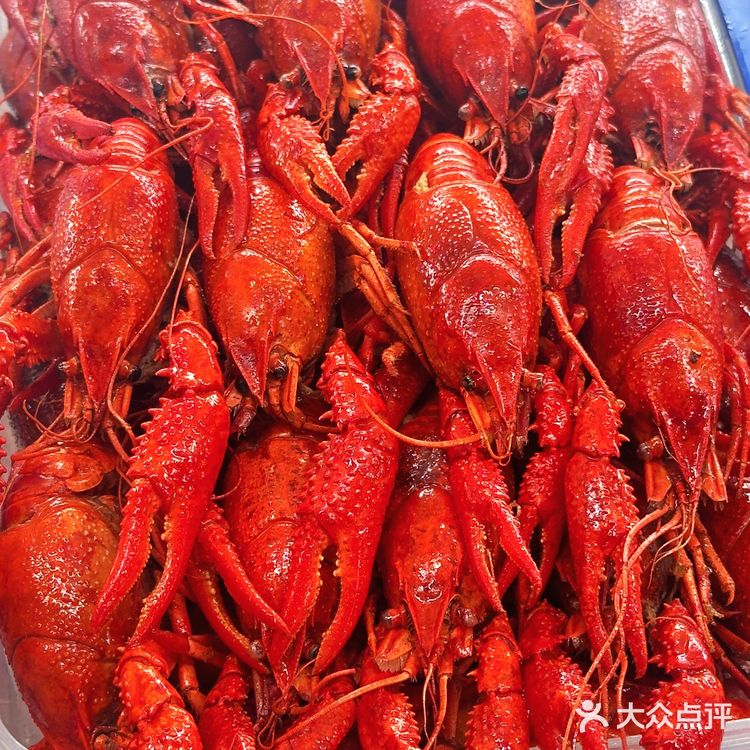 大理海东茄子，烧烤界的“小鲜肉”