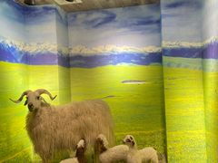 -清真·益鑫羊肉手抓馆(花园北街店)