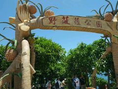 -放鸡岛生态旅游国际度假区