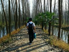 -合肥滨湖国家森林公园