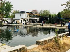 -特种渔场