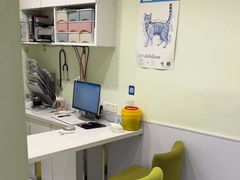 -艾吉宠物医院·疑难杂症转诊中心·猫友好(碧江路院)