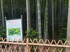 -黄公望隐居地