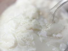 -梧州五福龟苓膏(老字号丰业店)