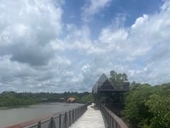 -东寨港红树林旅游区