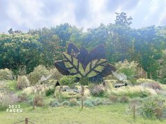 -上海共青森林公园