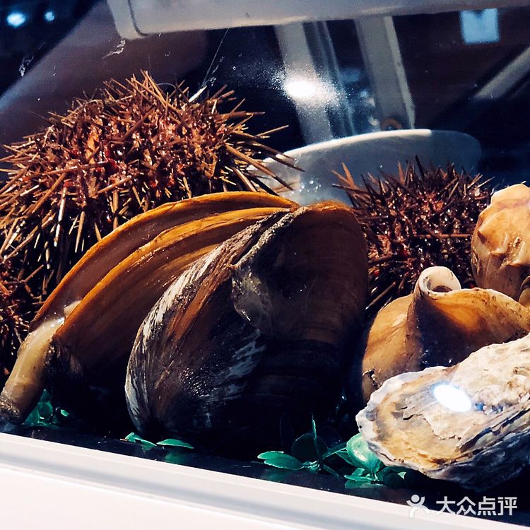 这家日料店店老板真的很有人情味