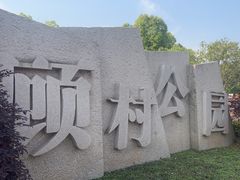 -顾村公园