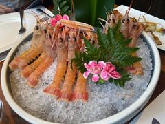 -Mr.Fish鱼鲜生海鲜放题(高德置地冬广场店)